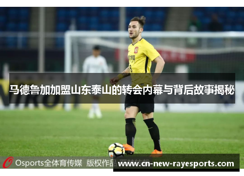 马德鲁加加盟山东泰山的转会内幕与背后故事揭秘 马德鲁加加盟山东泰山的转会内幕与背后故事揭秘