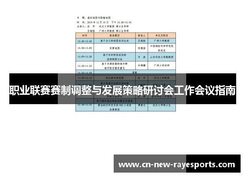 职业联赛赛制调整与发展策略研讨会工作会议指南 职业联赛赛制调整与发展策略研讨会工作会议指南