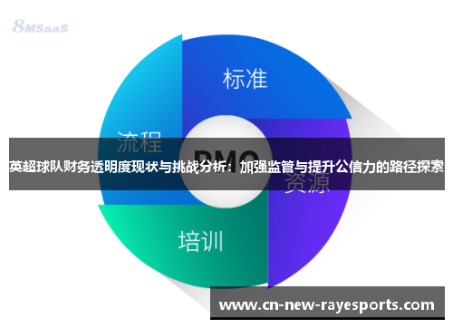 英超球队财务透明度现状与挑战分析：加强监管与提升公信力的路径探索